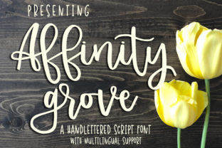 Affinity Grove Font