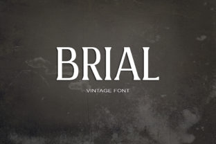 Brial: A Serif Font for Web Design