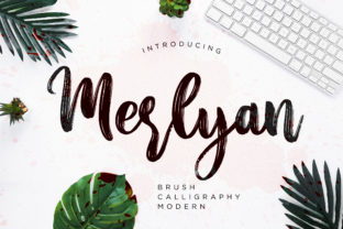 Merlyan: A Elegant Script Font for Business Branding