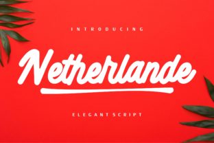 Netherlande Font: Elegant Script for Web Design