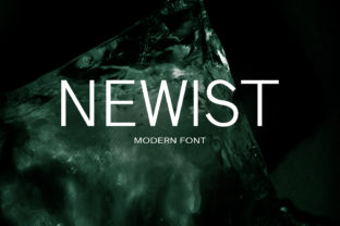 Newist: A Cool Font for Business